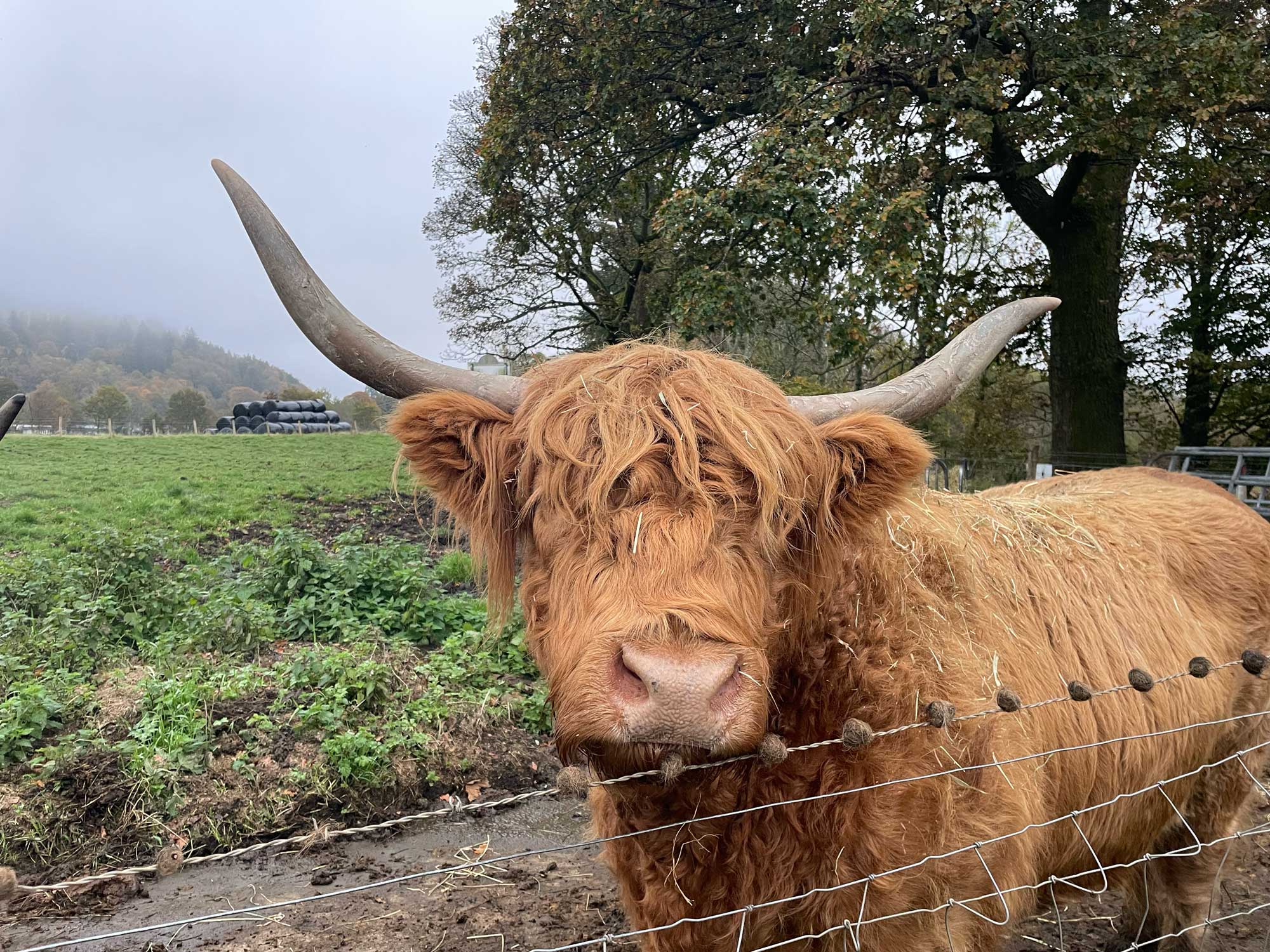 Private Day Tour to Glencoe Gallery Image
