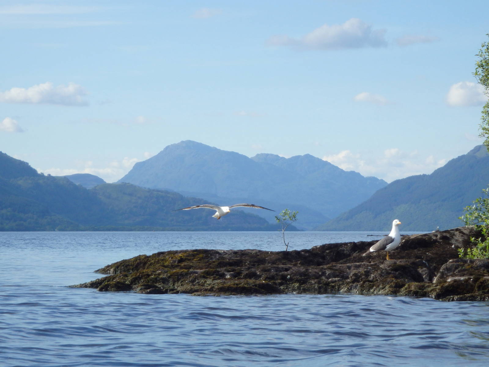 Private Day Tour to Stirling, Loch Lomond & The Trossachs Gallery Image