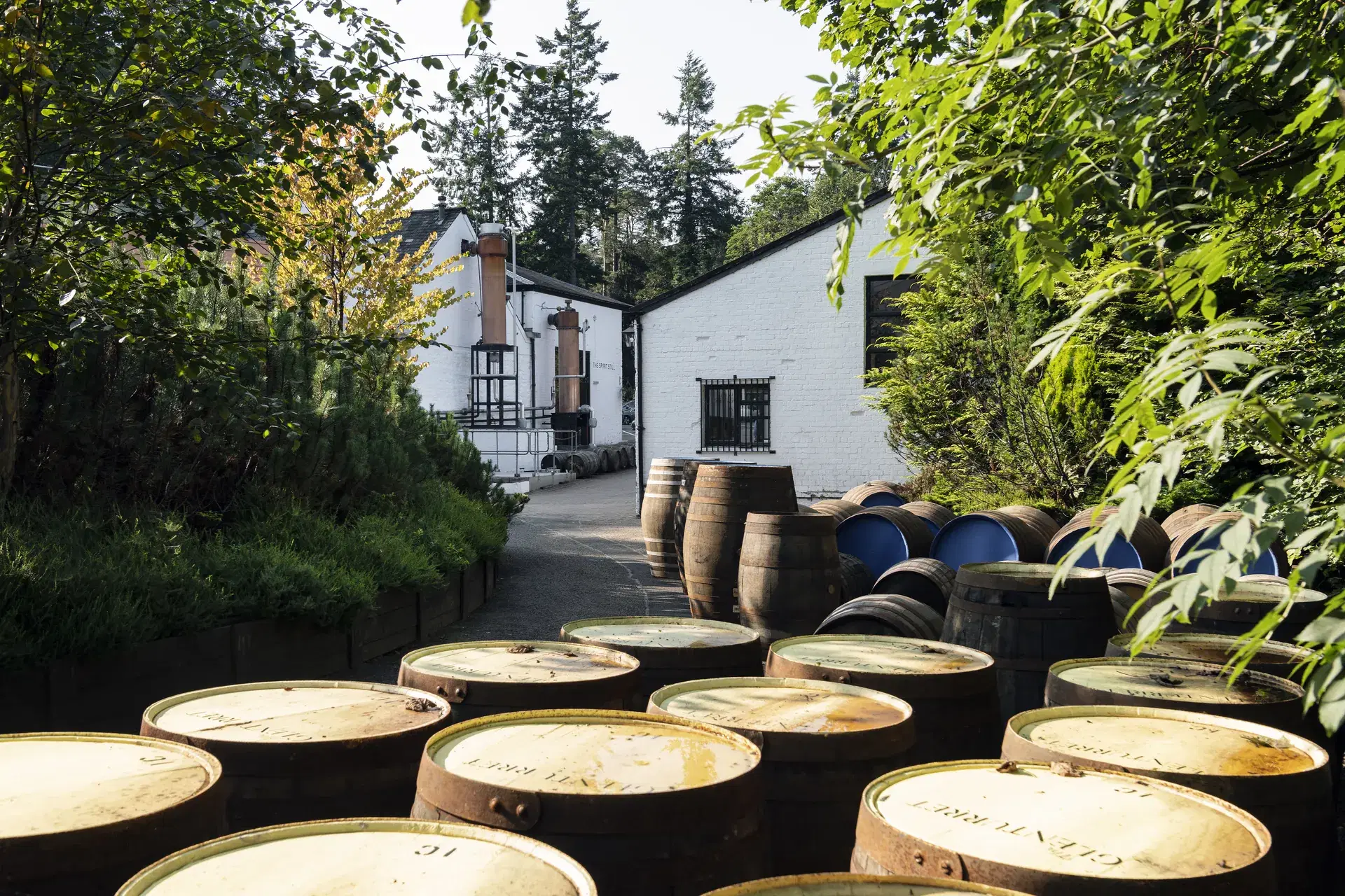 The Holy Grail Whisky Tour gallery image